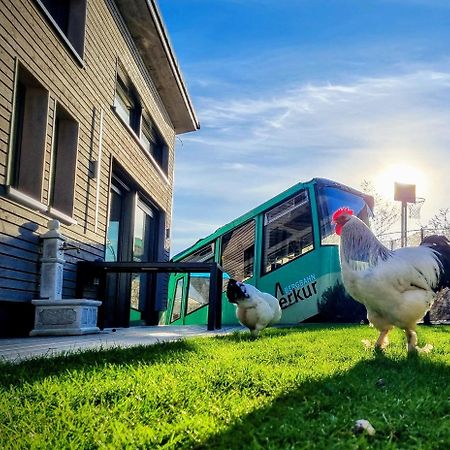 Exklusives Holzhaus Mit Bergbahn - Baden-Baden Im Schwarzwald 빌라 외부 사진
