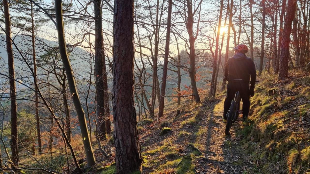 Exklusives Holzhaus Mit Bergbahn - Baden-Baden Im Schwarzwald 빌라 외부 사진